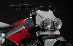 Tula? Brutus!