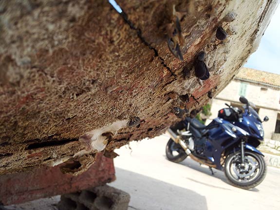 Suzuki Bandit GSX1250