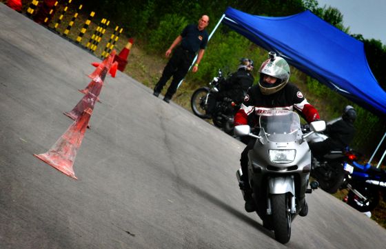 motor-jogositvany-2013