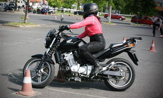 motor-jogositvany-2013