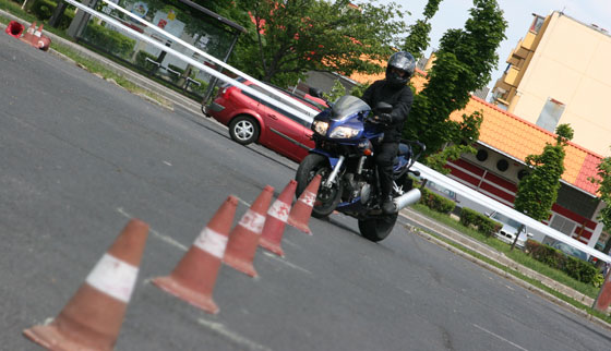 motor-jogositvany-2013