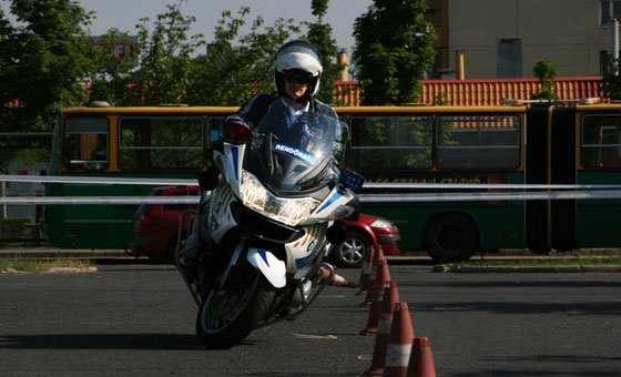 motor jogositvany 2013