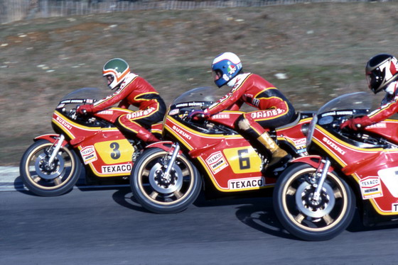 Heron Suzuki Team Suzuki RG500 XR14