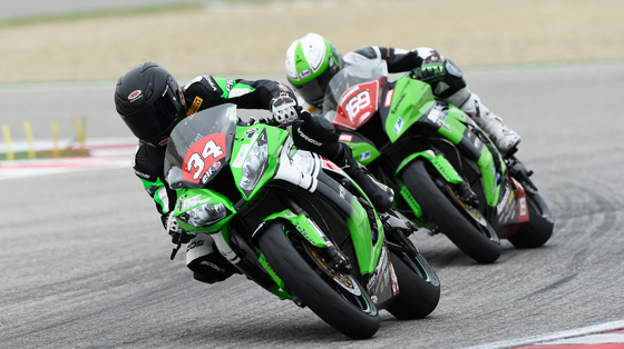 nemeth balazs pedercini